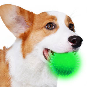 La migliore vendita di fabbrica illumina il giocattolo da masticare per cani stridulo bagliore scuro che rimbalza l'agilità giocattolo da masticare per cani da notte all'aperto - Product Image 2