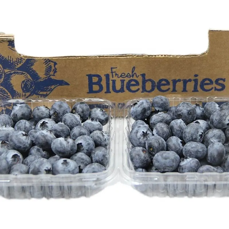 New Season High Quality Fresh Product IQF Frozen Blueberries Price