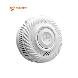 Factory WiFi smoke detector smoke alarm ten years lithium battery convenient and portable wireless smoke detector 433mhz
