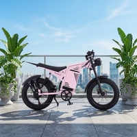 Vélo de montagne à pneus larges de 20 pouces, moteur arrière sans balais, 48V 500W, batterie au lithium 13Ah, 7 vitesses, neige, 43 km/h, freins à disque hydrauliques