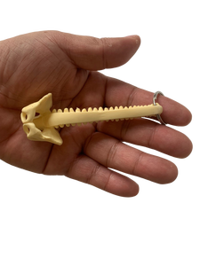 Modelo de faja espinal humana en miniatura Llavero pélvico occipital <span class=keywords><strong>posterior</strong></span> para ciencia médica - Product Image 6
