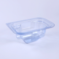 Emballage blister de plateau d'insertion médical en plastique personnalisable pour cliniques et hôpitaux directement de l'usine