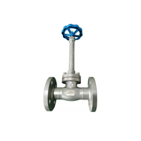 Vanne à soupape manuelle flexible cryogénique à tige longue en acier inoxydable API/API 6D avec joints de disque PCTFE DN10-DN200
