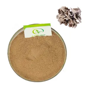 GMP hot selling maitake mushroom extract powder grifola frondosa extract