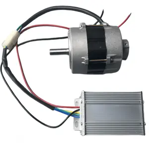 12v 24v Rhigh Torque 24 Volt Electric Micro Bldc Brushless Dc Motor