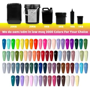 전문 네일 벤더 공급 최신 디자인 UV led 젤 매니큐어 60 색 세트 OEM 개인 라벨 무료 디자인 네일 박스