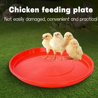 50CM d'épaisseur en plastique volaille animal caille poussin mangeoire casserole