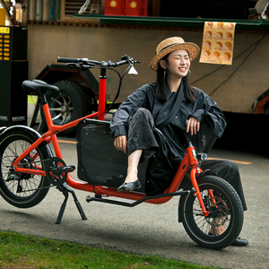 Vélo <span class=keywords><strong>cargo</strong></span> à longue portée avec cadre en aluminium à 9 vitesses, 2 roues, siège familial pour enfants et animaux domestiques, capacité de charge de 160 kg, roues de 20 pouces - Product Image 6
