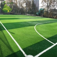 Kunstrasen für 50mm Fußballplatz Zertifizierter Wasserdichter Rasen Sportbodenbelag Outdoor-Grasteppich Kunstrasenmatte