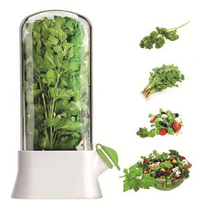 Taza de mantenimiento de cilantro fresco: conservador de hierbas confiable con Ventilación ajustable, diseño que ahorra espacio - Product Image 3