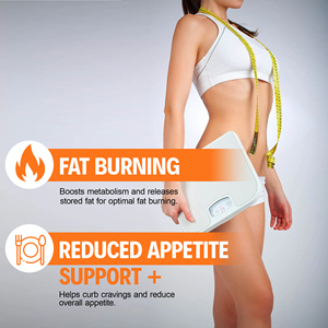 Factory customization Metabolism Gummies with Chromium <b>Supplement</b> Helps Curb Cravings and Reduce Overall Appetite Gummies - Product Image 4