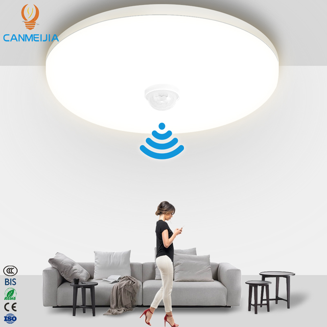 Modern Home Indoor Room Stair Smart Pir Sensor Lights Industrial Smart LED Ceiling Lamp/Motion Sensor Light/Smart Home Lights