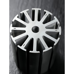 Componentes de Núcleo de Lámina de Acero al Silicio para Estator y Rotor de Motor Eléctrico, para Motores No Estándar - Product Image 5