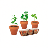 Set Kebun Herbal Rustic Herms dengan Mint, Peterseli, dan Basil dalam Pot Terakota Tanpa Lapisan untuk Penggunaan di Rumah & Luar Ruangan, Buatan Italia