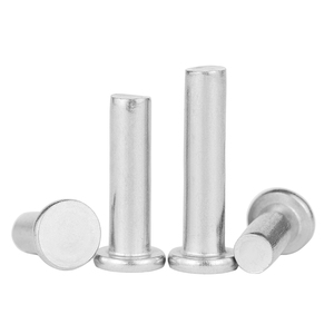 10 piezas/bolsa Remaches Sólidos de Cabeza Plana de Acero Inoxidable 304 de Calidad Premium M2 M2.5 M3 M4 M5 M6 Remaches Sólidos de Cabeza Delgada GB109 - Product Image 2