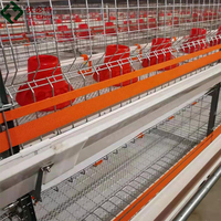Cage à poulets de chair commerciale en acier galvanisé à chaud U Best, type H, équipement avicole automatique avec garantie d'un an