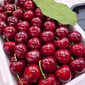 Australie fruits frais grosse <span class=keywords><strong>cerise</strong></span> Catty perle <span class=keywords><strong>noire</strong></span> boîte entière en gros - Product Image 2