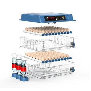 Plateau d'oeufs Offre Spéciale pour incubateur incubateur d'oeufs arabie saoudite truite poisson incubateur 56 à énergie solaire <span class=keywords><strong>amazon</strong></span> - Product Image 1