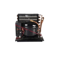 Unité de réfrigération monobloc refroidie par air, mini unité de condensation pour réfrigérateur et congélateur Micro unité de réfrigération 12V 24v R134a