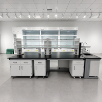Table de travail de laboratoire de biotechnologie à structure en acier robuste avec plateau phénolique et station d'évier