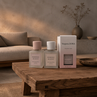 Diffuseur d'arômes électrique Nordic Scent de 200 ml, diffuseur de parfum portable en verre, machine à parfum d'ambiance alimentée par USB avec boîte