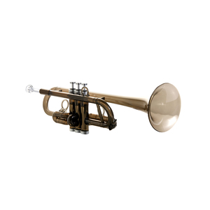 <span class=keywords><strong>Trompeta</strong></span> <span class=keywords><strong>de</strong></span> plástico ligero para principiantes, juego <span class=keywords><strong>de</strong></span> instrumentos con <span class=keywords><strong>trompeta</strong></span> silenciosa y piezas para la <span class=keywords><strong>boca</strong></span> - Product Image 2