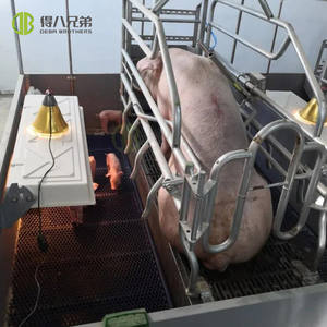 El sistema de elevación automático de la caja de parto de elevación de la granja de cerdos mejora fácilmente la tasa de supervivencia de <span class=keywords><strong>los</strong></span> lechones - Product Image 3