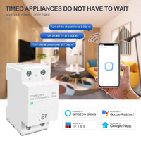 Interrupteur relais intelligent WiFi Solivo Mini 240V AC, contrôle vocal à distance via l'application Tuya, minuterie, module de maison intelligente OEM ODM