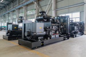 Generatore Diesel Dynxin 50kW 60kVA Raffreddato ad Acqua Trifase Centrale Elettrica per Industria - Product Image 5