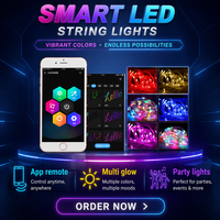 Bande lumineuse USB 5V RGBIC avec variateur d'intensité, décoration de Noël, lumière d'ambiance, contrôle mobile, application intelligente, minuterie, mode musique
