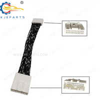Conector Personalizado de 24 Pines Macho y Hembra para Audio de Automóvil, Arnés de Cableado Automotriz con Aislamiento de PVC, Clasificación IP68 para Modificaciones Electrónicas