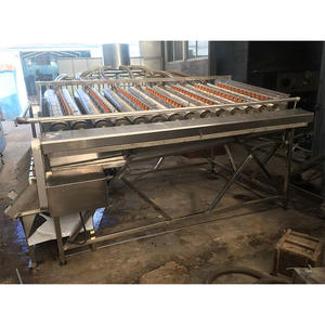 Macchina automatica di classificazione a rulli ad alta efficienza per la selezione e la classificazione delle <span class=keywords><strong>ciliegie</strong></span> - Product Image 4