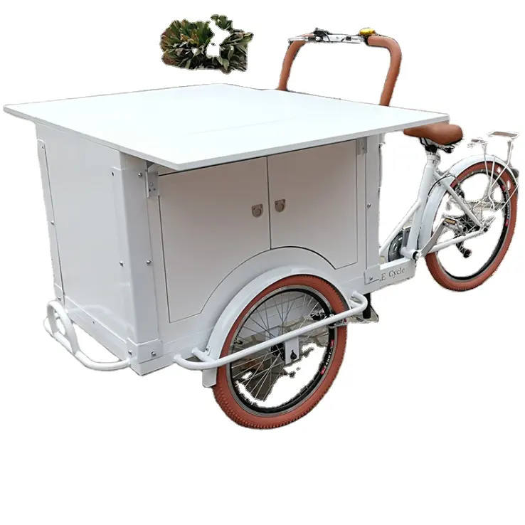 Carrelli elettrici del carrello dell'alimento del motorino del triciclo dello Scoter del triciclo elettrico del passeggero dell'oem da vendere