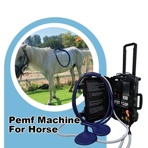 Appareil PEMF à double canal pour chevaux, pour détendre les muscles raides, soulager le stress physique et favoriser une meilleure qualité de sommeil - Product Image 1