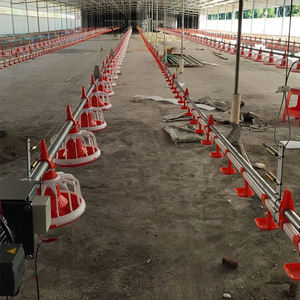Nouveau système d'élevage avicole linéaire automatique en plastique pour poulets, avec mangeoire et poulailler complet, système d'alimentation pour poulets de chair - Product Image 4