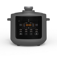 Autocuiseur Électrique Numérique Multifonction 5L avec Écran LED et Minuteur Programmable – Prix Usine OEM/ODM
