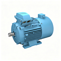Moteur asynchrone à bobines libres triphasé série ABB QABP, efficacité IE3, IP55, 380V 50Hz, entraînement industriel à fréquence variable (VFD)