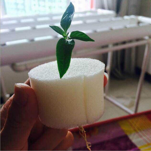 Mini planta de espuma hidropónica, accesorios de siembra orgánica, <span class=keywords><strong>esponja</strong></span> hidropónica, 10 Uds. - Product Image 4