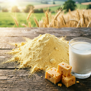 Poudre de fromage de qualité alimentaire, riche en saveur, en vrac, déshydratée, pour la transformation alimentaire - Product Image 2