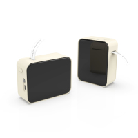 Imprimante d'étiquettes thermique sans fil portable P15 pour la maison et le bureau en stock