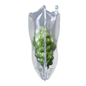 Grape cosmetics prevent damage and damage fruit transportation protection double-layer air column bags
