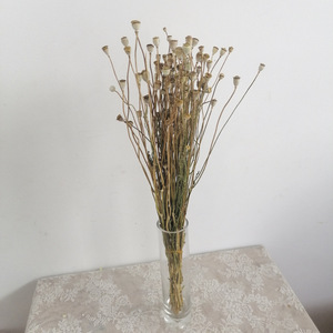 Fleurs et plantes décoratives en gros, pavot de la vallée séché, pavot de la vallée séché, bouquets de fleurs conservées, décoration de mariage, décoration de la maison, cadeau - Product Image 2