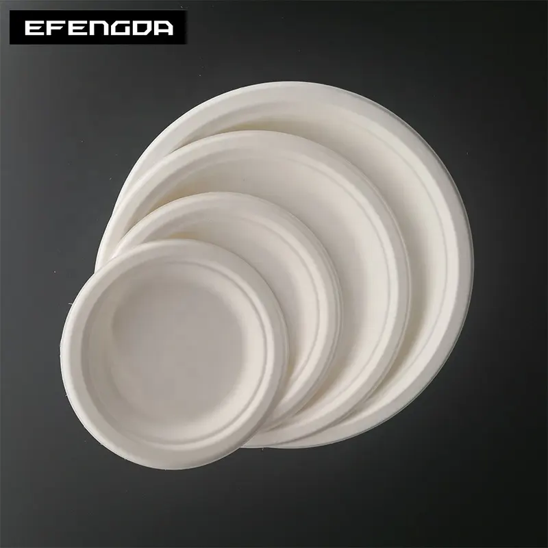 200 X WHITE FOAM PLATES 25cm 10" DISPOSABLE CATERING PARTIES PARTY SUPPLIES FOOD 