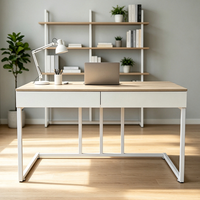 Meubles de bureau de haute qualité, neufs et luxueux, vente en gros d'usine, bureau d'ordinateur robuste, couleur personnalisée