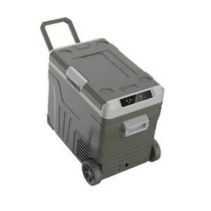 Refrigerador pequeño <span class=keywords><strong>de</strong></span> <span class=keywords><strong>bajo</strong></span> <span class=keywords><strong>consumo</strong></span> con control digital <span class=keywords><strong>de</strong></span> temperatura <span class=keywords><strong>de</strong></span> 35L con compresor para coche, congelador con ahorro <span class=keywords><strong>de</strong></span> energía al por mayor - Product Image 2