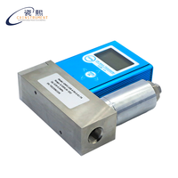 Contrôleur de débit massique de gaz haute précision 0,5 % FS en acier inoxydable 316L avec Modbus RS485