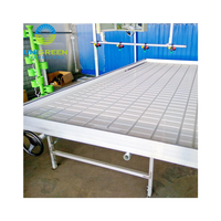 Table de culture hydroponique à ébb et flow sur roulettes pour pépinière commerciale de serres, idéale pour la culture verticale de légumes