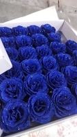 Buket Bunga Kristal Rose Gold 50pcs Langsung dari Pabrik Super Z, Biru Enchantress, untuk Hari Valentine, Glitter DIY Berkualitas Tinggi