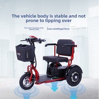 Tricycle électrique pliable sans balais Vic VIKE pour personnes âgées et adultes handicapés, autonomie de 30-55 km, vitesse maximale de 11-20 km/h, charge utile de 150 kg