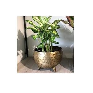 Maceta de Metal de alta calidad de primera calidad, maceta de diseñador hecha a mano, decoración de jardín, maceta de Metal de lujo al por mayor - Product Image 3